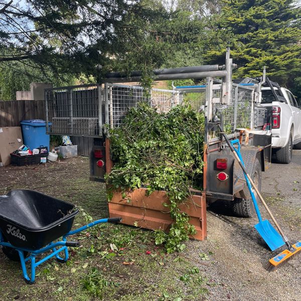Image_2